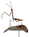 Copper Praying Mantis Garden Sculpture & Stake