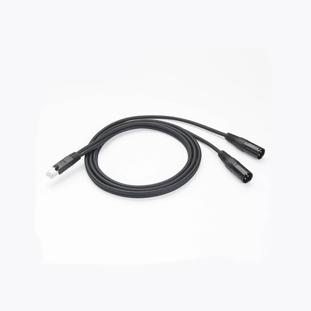 RJ45 Male to Dual XLR Male Cable 1M