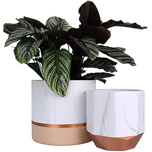 LA Jolie Muse Ceramic Flower Pots, 6.7 & 5.4 Inch Indoor Plant Pot Set of 2