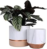 White Ceramic Flower Pots - 6.7 + 5.4 Inch Indoor Planters, Plant Containers in a Marble Ink Pattern...