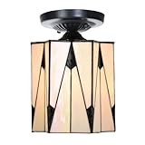 Accents noirs offrant contraste magnifique et tourbillonnant