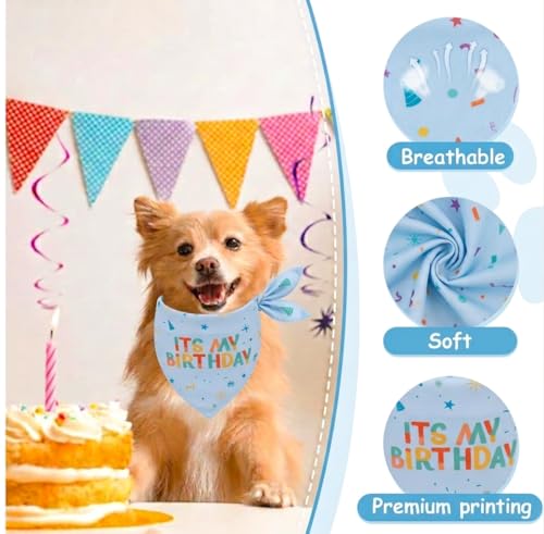 YummiPaws Dog Birthday Bandana (Meidum)