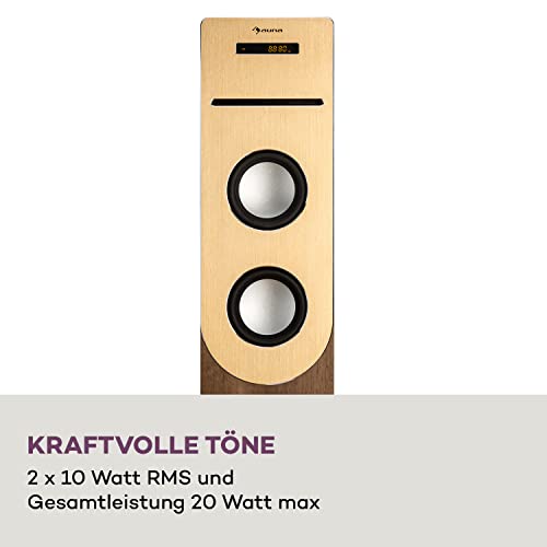 Auna Sound Tower Lautsprecher mit Radio, CD-Player und Bluetooth