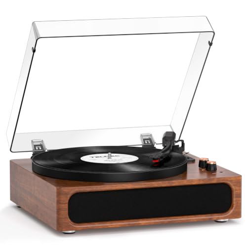 TANLANIN 12-Inch Platter 3-Speed Turntable
