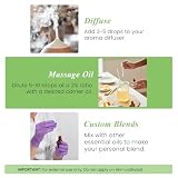 Handcraft Blends Organic Tea Tree Essential Oil, 1 Fl Oz, photo 5