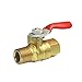 NIGO AN10 Series Forged Brass Mini Ball Valve, 1/4" NPT Male x 1/4" NPT Female, 180 Degree Operation Handle, Rated to 600WOG