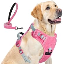 BEAUTYZOO No Pull Dog Harness Large, Adjustable Dog Harness and Leash Set -Easy Wearing with 3 Buckles/Control Handle,No Choke Soft Padded Reflective Pet Vest for Training Walking Hiking,Rose L