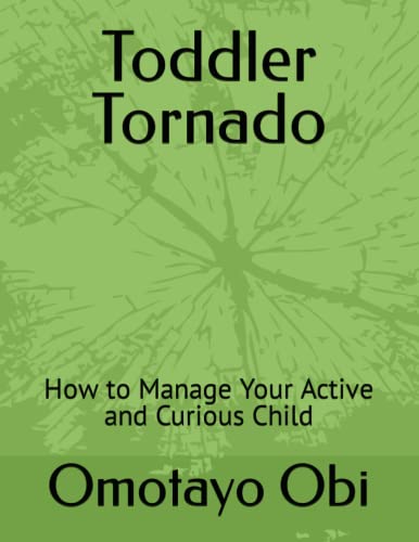Toddler Tornado: How to Manage Your Active and Curious Child
