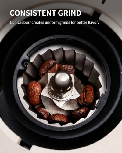 KIDISLE Conical Burr Coffee Grinder 2.0, Electric Coffee Bean Grinder for Precise Grinding, 35 Settings, 2–12 Cup Selector, Anti-Static Design for Home Use, Beige - Image 4