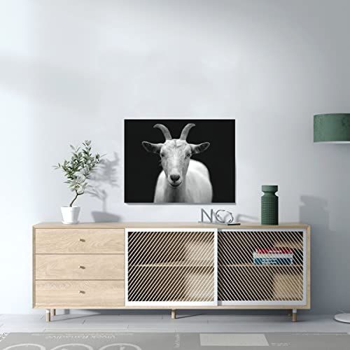 Toile imprimée bouc blanc photo noir et blanc nature chèvre - 3