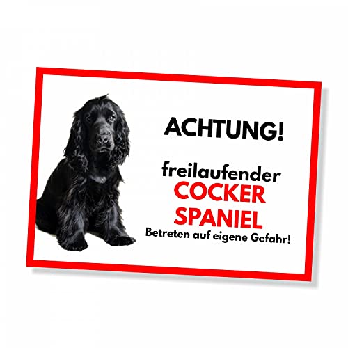 Cocker Spaniel 1 Freilaufender Hund Dog Schild Spruch Türschild Hundeschild Warnschild Geschenkidee Sicherheitsschild Hund Privatgrundstück Hundewarnung Warnung vor dem Hund
