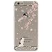 iPhone SE Case, SwiftBox Cute Cartoon Case for iPhone 5 5S SE with 0.3mm Tempered Glass Screen Protector + Owl Phone Strap (Cherry Blossom and White Cat)