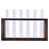 Darmlly Plantas Terrario con Tronco, Tapiz de Mesa/Pared Estación de Propagación de Plantas Vivas, Vasos de Planta, Tubos de Vidrio, Hidropónico