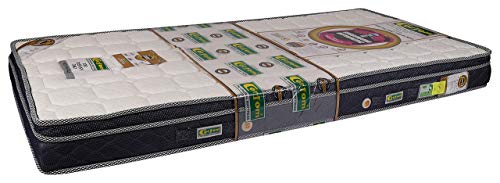 Image of Passion Visco-E Memory Foam Mattress Queen Bed Size (White & Black, 75x60x6 Inches)