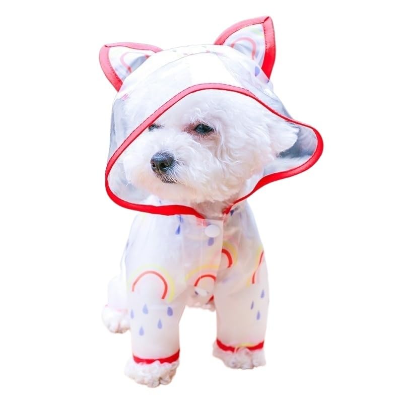 Vêtements pour chiens imperméables taille M pour des balades au sec même en forêt