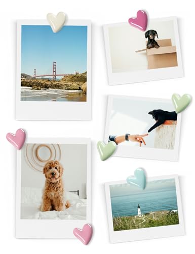 image for Mymazn 20Pcs Fridge Magnets Cute Refrigerator Magnet, Colorful Magnets