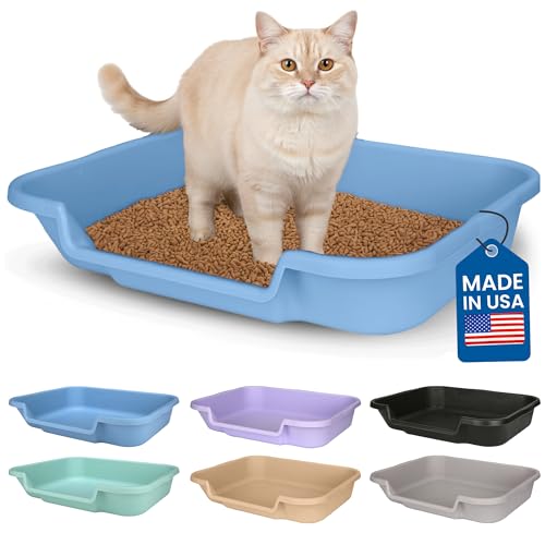 KittyGoHere Senior Cat Litter Box, Large Blue, Low Entrance