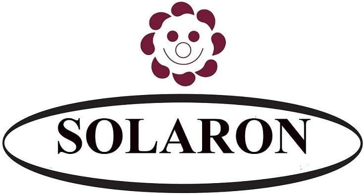 SOLARON Korean Super Thick Heavy Weight Mink Blanket (Queen, Bear and Cubs Blue)