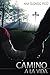 CAMINO A LA VIDA (Spanish Edition)