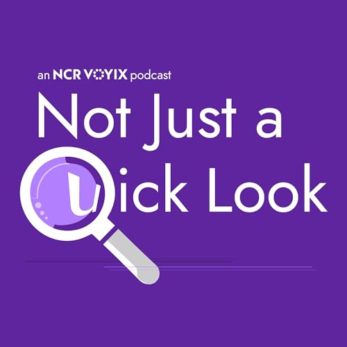 Not Just a Quick Look cover art