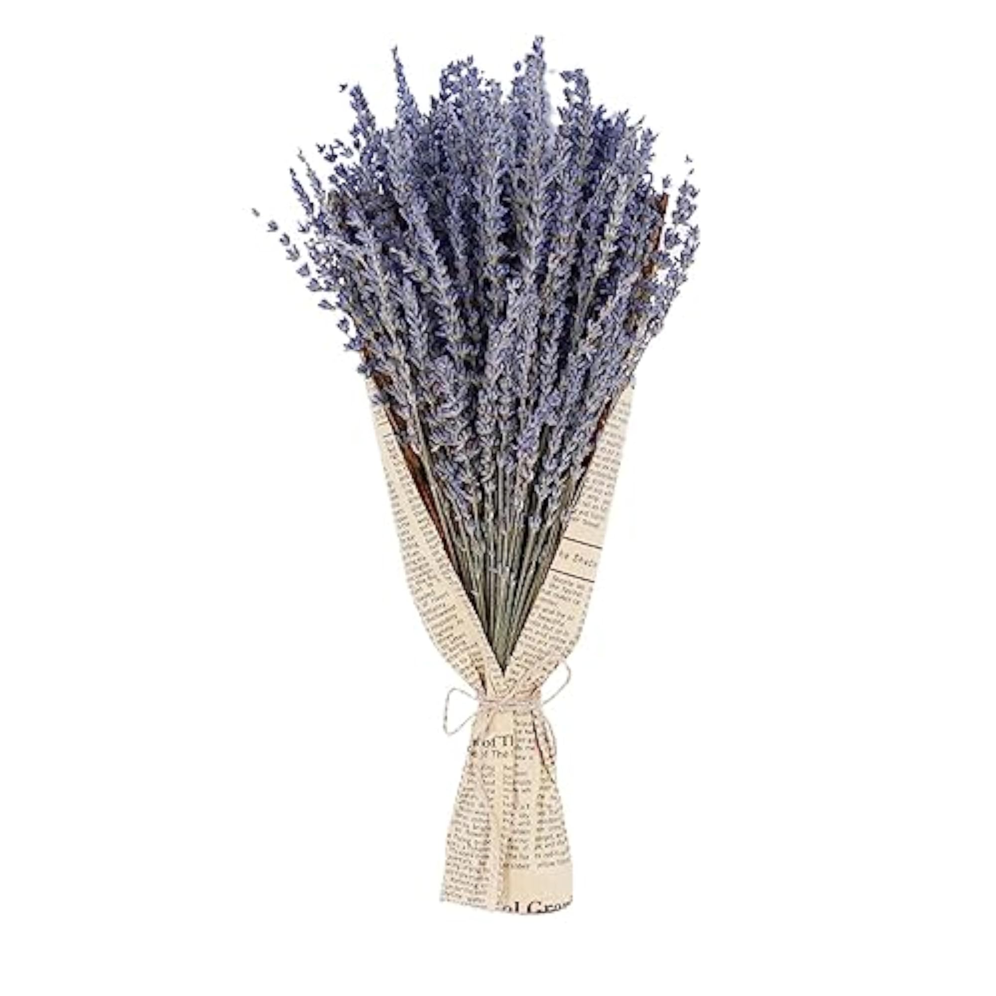 Dried Lavender Flower Bunches for DIY Crafts