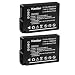 [Fully Decoded] Kastar DMW-BLD10 Battery (2-Pack) for Panasonic DMW-BLD10, DMW-BLD10E, DMW-BLD10PP, DE-A93B work for Panasonic Lumix DMC-G3, Panasonic Lumix DMC-GF2, Panasonic Lumix DMC-GX1 Cameras