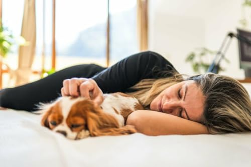 Why Is Having A Pet Good For Your Health?