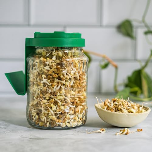Image of Sprouts Maker Jar 720ml Original Patented Glass Bean & Grain Sprouter | 132 Ventilation Holes, Built-in Drainage Stand, BPA-Free Lid