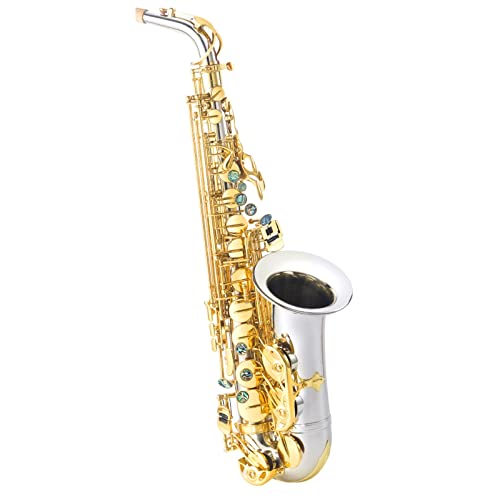 E-Flat Alto Saxophone y͏S҂牉t̂ɓKĂ܂ TbNXS TbNX(J[: 3)