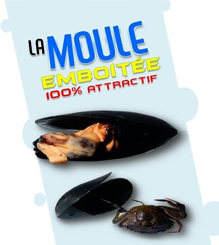kabura, Jig, madaî, tenya, El Mejillón de Marsella, señuelo Especial para la Pesca de Doradas en Barco, 4 plomos x2 30 gr, x2 50 gr