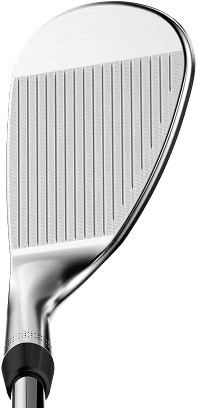 4185 戸上明道「春入千林處々鶯」 共箱 肉筆 紙本 書 掛軸 臨済宗 玉瀧寺