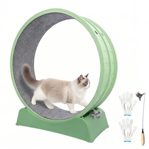 JOLL JOLL 33" Cat Wheels for Indoor Cats, Large Cat Running Wheel with Detachable Carpet & Teaser, Easy to Install and Clean, Cat Essentials for Pet Health - Green