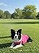 Chol&Vivi Dog Clothes, 2pcs Soft Cotton T-Shirts for Small, Medium, Large, Extra Large Dogs (Pink and Rose Red, XS (14