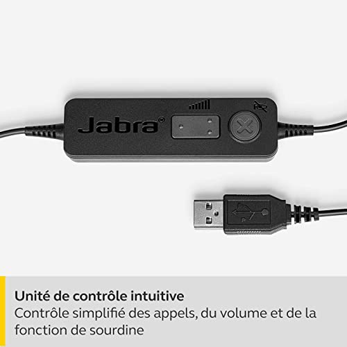 Jabra Biz 1100 EDU Micro-Casque stéréo avec Micro pour étudiants - Micro-Casque avec réduction du Bruit et Protection auditive, Coussinets en Similicuir et Connexion USB-A - Noir