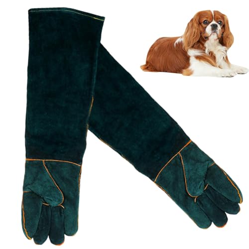 Gants pour serpent anti-morsures et résistants à la chaleur avec doublure