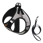 Cavalier King Charles Spaniel Dog,Pet Harness,Adjustable Reflective Dog Harness,Pet Leash Vest,L