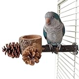 Perchoir À Oiseaux,2-en-1 Jouet en Bois pour Mangeoire Et Cage pour Oiseaux,Perchoir de Fouissage Perruche Jouet - Intérieur Cacatoès Pinson Alimentation Jeu Mastication