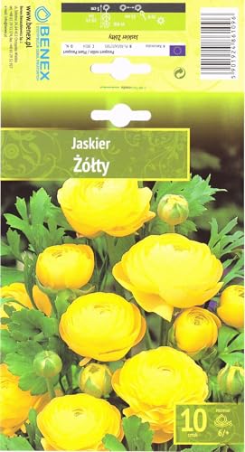 AGRONOM | RANUNCOLI - YELLOW | Bulbi da fiore perenni | Fiori gialli | Coltivati in giardini fioriti, vasi e prati fioriti | 10 bulbi