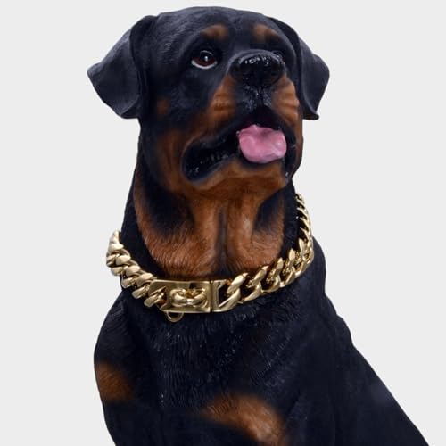 Collier en acier inoxydable or pour chien résistant et étanche