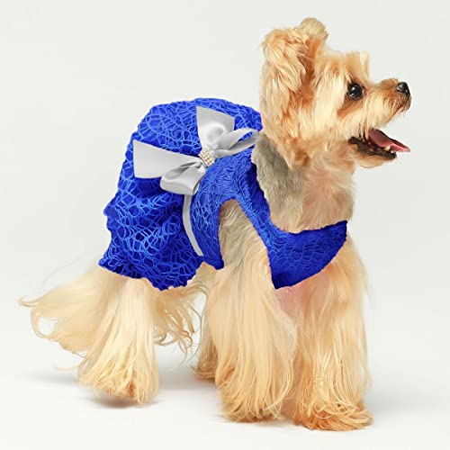 Fitwarm Fancy Dog Tulle Dress, Dog Clothes For Small Dogs Girl, Pet Party Outfit, Cat Apparel, Royal Blue, Large #TOP1