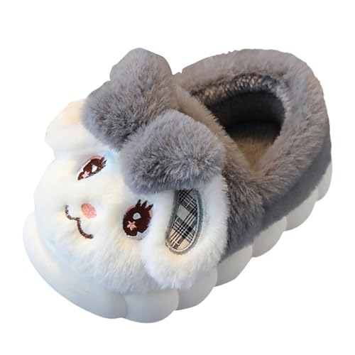 BOTCAM Zapatillas de estar por casa para niñas, lindas zapatillas de fieltro para niños, de algodón suave, cálidas, de forro polar, con forro polar, cerradas, antideslizantes, para niños, gris, 30 EU