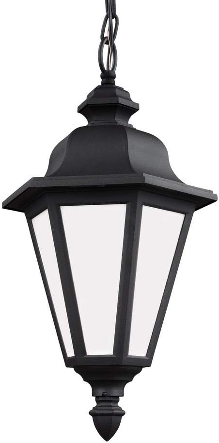 Seagull Sea Gull 69025-12 Transitional One Light Outdoor Pendant from Brentwood Collection in Black Finish