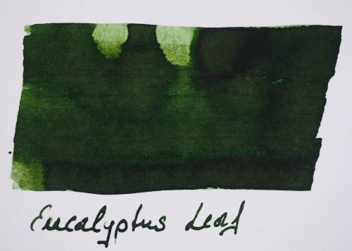 Robert Oster Signature tinte - eucalipto foglia