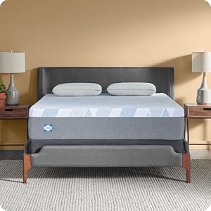 Sealy Dreamlife 12″ Foam Mattress-in-a-Box, Twin XL, SealyComfort Gel Memory Foam, SealySupport Transition Foam, Surface-Guard Technology