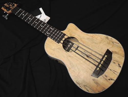 yI4270zKALA UBASS-SP-MAPL-FS J u-bass ENx[X Spalted Maple X|ebhCv{fB (P[Xt)