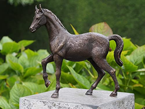 Questa scultura in bronzo di prima qualità è una vera attrazione e grazie al materiale e alla presentazione senza tempo piacerà voi e i vostri visitatori a lungo