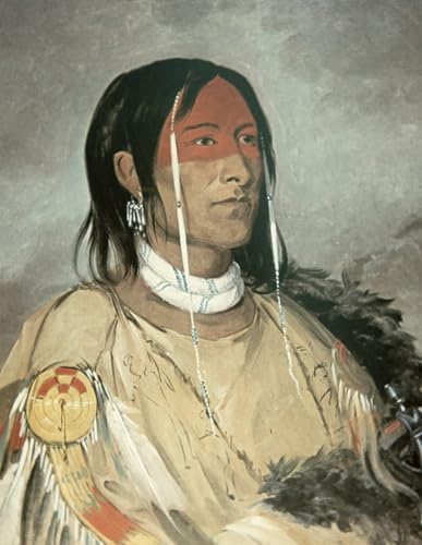 Art tableau Bras cassé par George Catlin déco murale toile