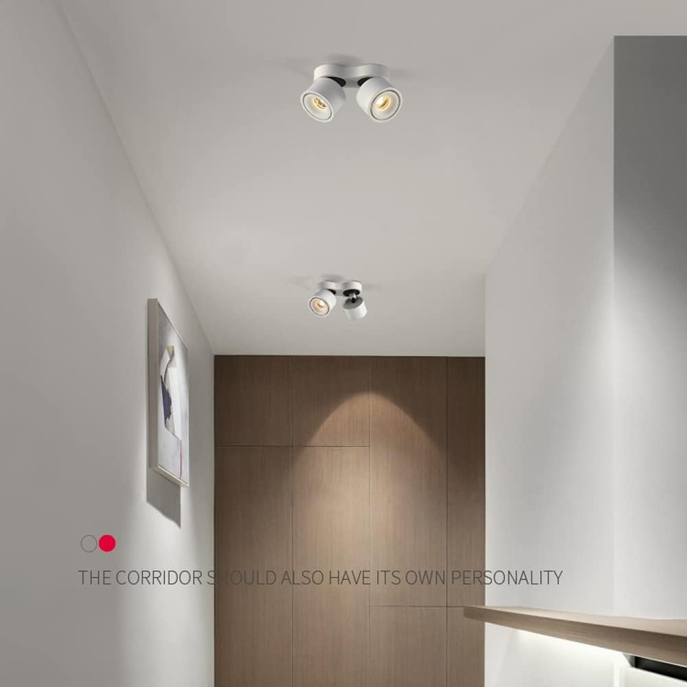 Ceiling Spotlight Fixture, 2-Light Flush Mount Track Fixture Wall Lamp Directional for Kitchen, Bedroom, Dining Room, Office, Black, 24W 360°Adjustable Rotatable Double Head Downlight/White/