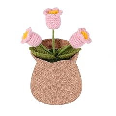 Pink Lily of the Valley