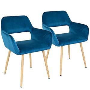 FDW Dining Chair Accent Armchair Dining Room Chair Kitchen Chair 2-Piece Set Chair Metal Side Chair PU Leather armrest Side Chair Home Kitchen Bedroom Living Room Metal(Blue, Hollow Out Style)